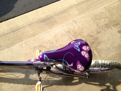 Schwinn Deelite Bike